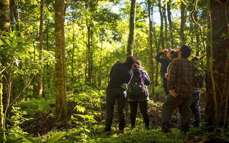Quetzal Tour in Costa Rica
