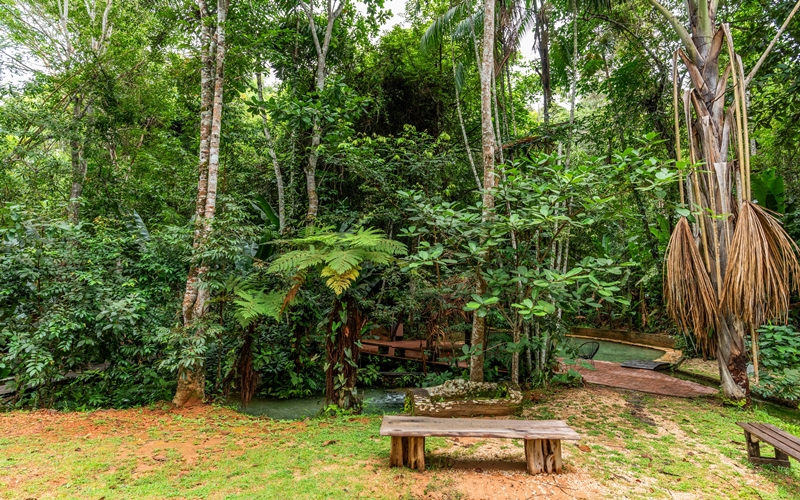 Jardim da Amazônia, São José do Rio Claro, Brazil