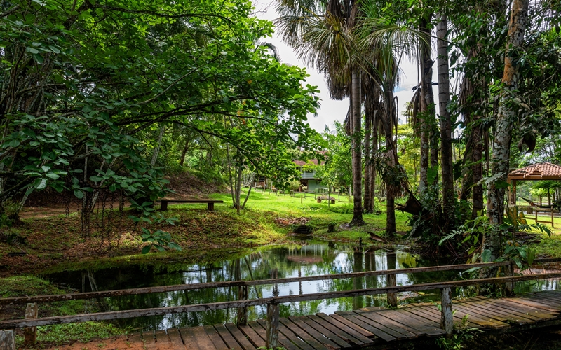 Jardim da Amazônia, São José do Rio Claro, Brazil