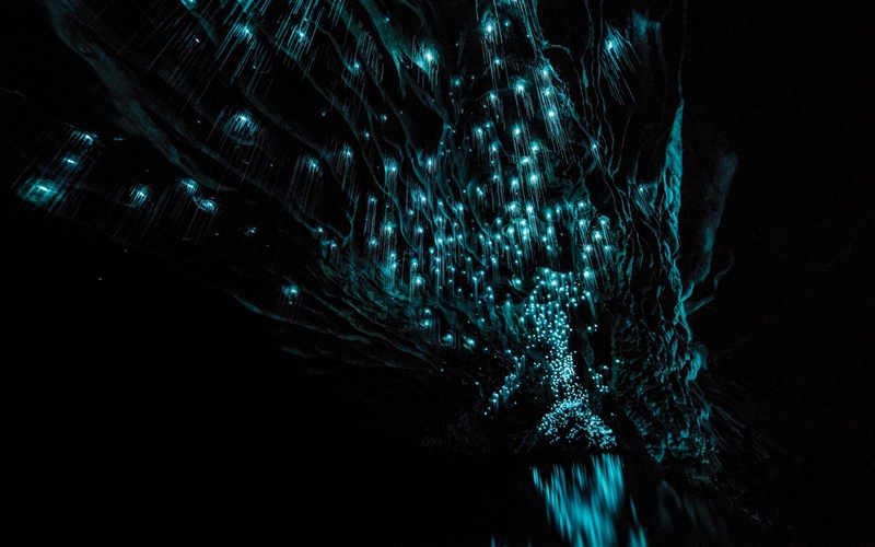 Cave New Zealand