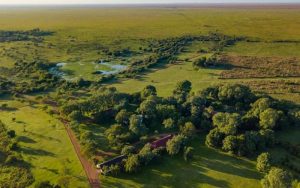 Rincón del Socorro, Iberá Wetlands, Argentina