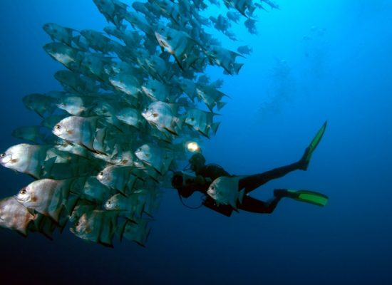 Diving