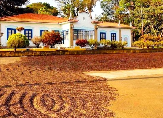 Fazenda Tozan in Brazil