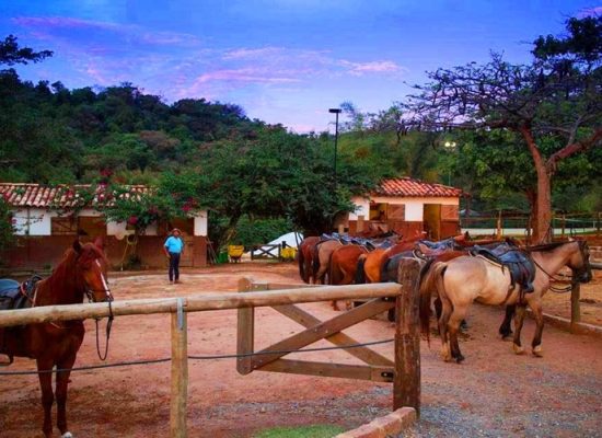 Horses at Fazenda Capoava