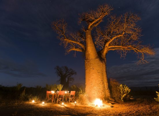 dinner by baobab tree in Madagascar