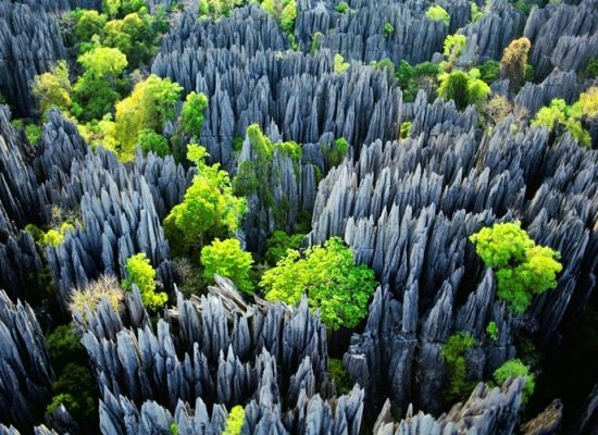 Tsingy de Bemaraha